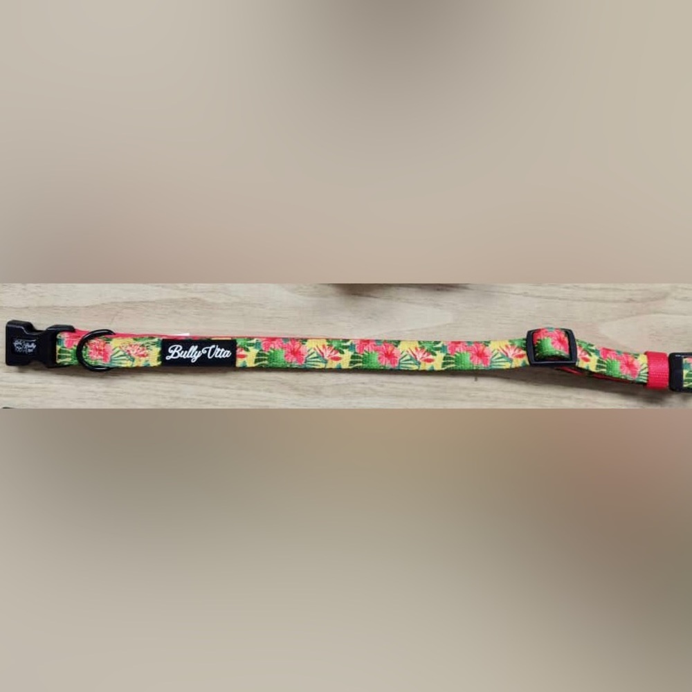 Bully Vita Tropical Pink Floral Adjustable Collar Size S 11”-17”